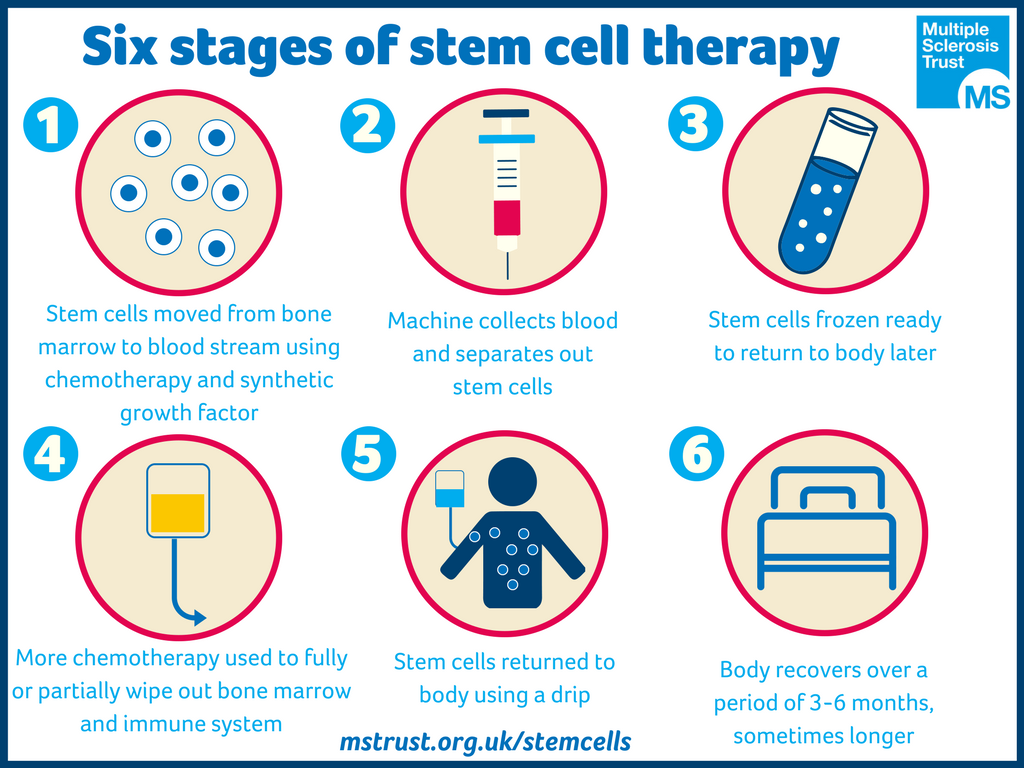 Stem Cell Therapy Ms Trust